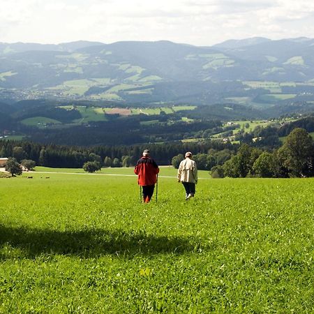 Wildwiesenhof Miesenbach  Eksteriør billede