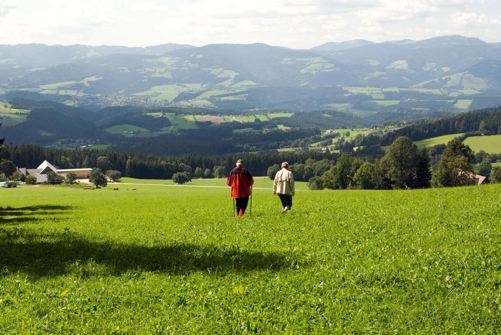 Wildwiesenhof Miesenbach  Eksteriør billede