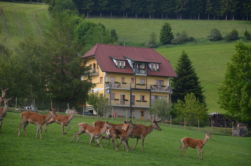 Wildwiesenhof Miesenbach  Eksteriør billede
