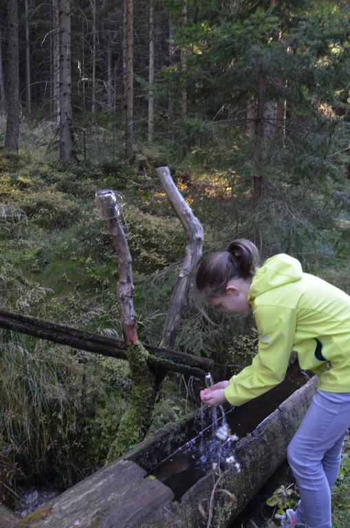 Wildwiesenhof Miesenbach  Eksteriør billede